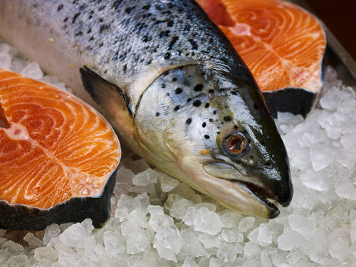 Fischsortiment – Ansicht 8